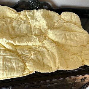 Pottery Barn Teen Breezy Muslin Sham